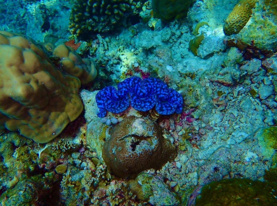 Ras Village Rasdhoo Dış mekan fotoğraf