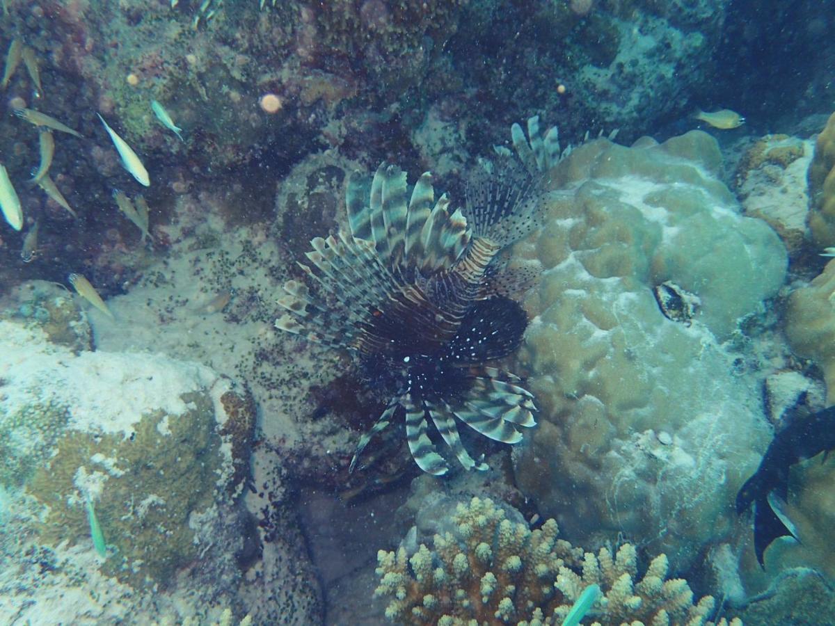 Ras Village Rasdhoo Dış mekan fotoğraf