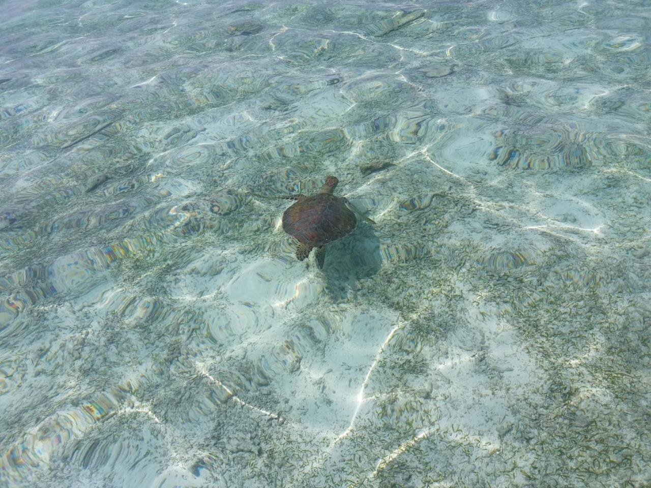 Ras Village Rasdhoo Dış mekan fotoğraf