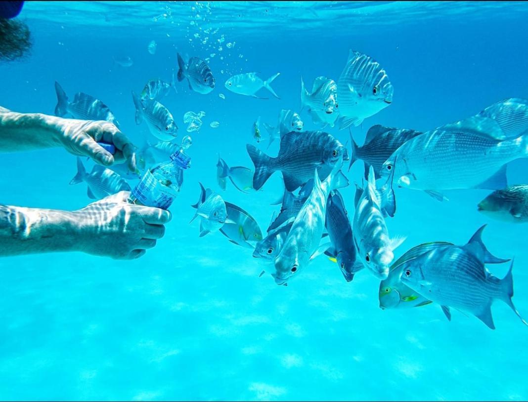 Ras Village Rasdhoo Dış mekan fotoğraf